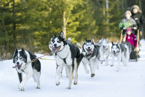 Vacances-passion - La Maison Blanche - Albiez le Vieux - Savoie