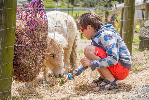 Vacances-passion - Château de Soubeyran - Saint-Barthélémy-Grozon - Ardèche