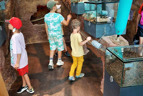 Vacances-passion - Le Rajal - Salles-Curan - Aveyron