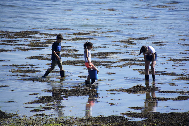 Vacances-passion - Les Moussaillons - Préfailles - Loire-Atlantique