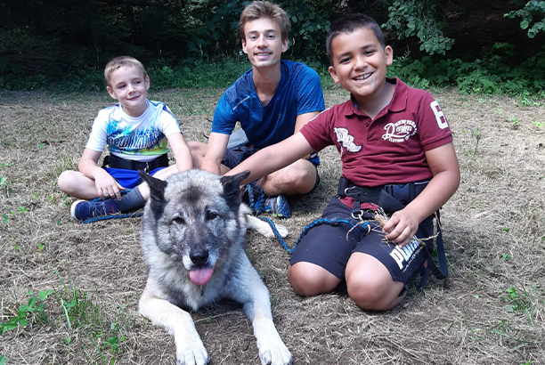 Vacances pour tous - colonies de vacances  - Les Carroz-d'Arâches - Les malamutes des Carroz