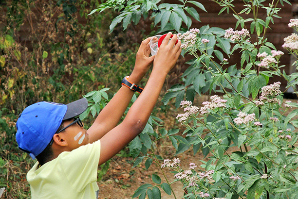 Vacances-passion - Domaine de la Maze - La Rouquette - Aveyron