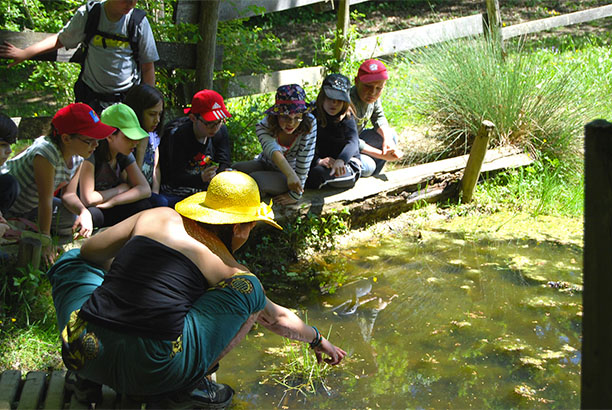 Vacances-passion - Domaine de la Maze - La Rouquette - Aveyron