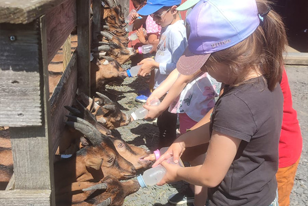 Vacances-passion - Volca-Sancy - Murat-le-Quaire - Puy-de-Dôme