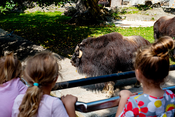 Vacances pour tous - colonies de vacances  - Bolquère - Les trappeurs catalans