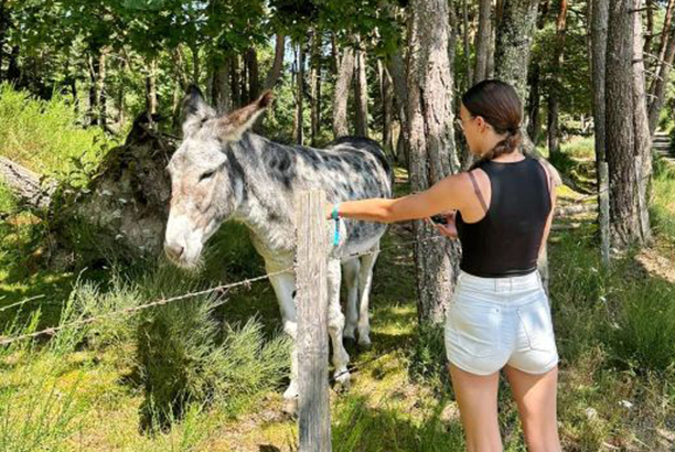 Vacances-passion - Camping Saint-Chély-d'Apcher - Saint-Chély-d'Apcher - Lozère
