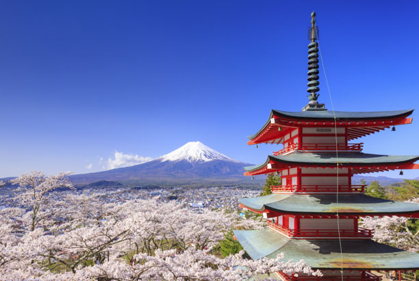 Vacances pour tous - colonies de vacances  - Japon - Moshi Moshi Japon