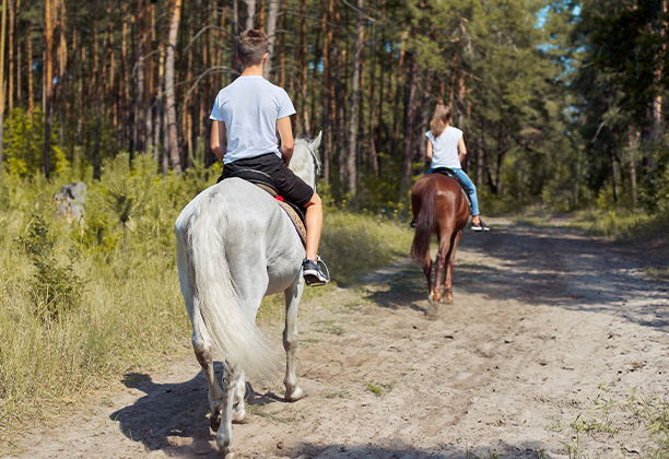 Vacances pour tous - colonies de vacances  - Saint-Georges-sur-Loire - Équit' Anjou