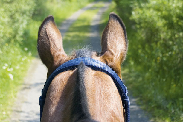 Vacances-passion - Grandeur Nature - Chaux-Neuve - Doubs