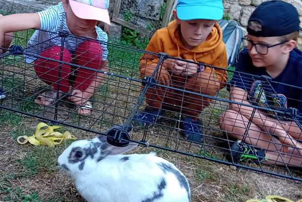Vacances-passion - Cap Sireuil Village - Les Eyzies de Tayac - Dordogne