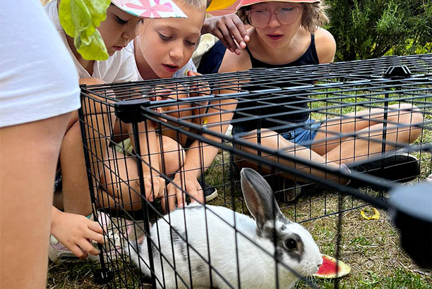 Vacances-passion - Cap Sireuil Village - Les Eyzies de Tayac - Dordogne