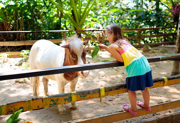 Vacances-passion - Centre La Roche - Stosswhir - Haut-Rhin