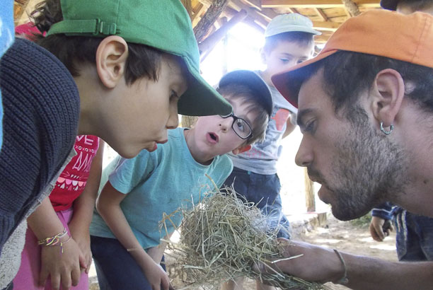 Vacances-passion - Cap Sireuil Village - Les Eyzies de Tayac - Dordogne