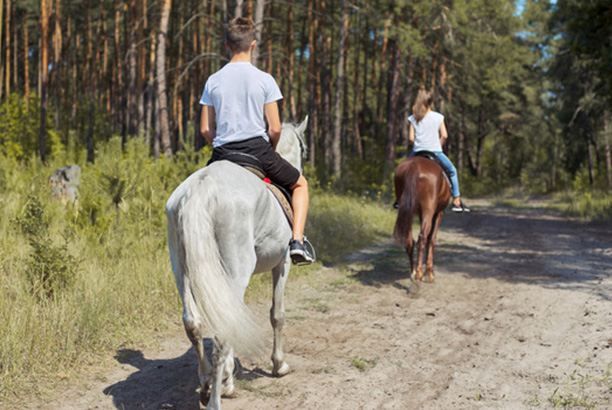 Vacances-passion - Les écuries de Saint-Georges-sur-Loire - Saint-Georges-sur-Loire - Maine-et-Loire