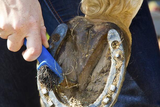 Vacances-passion - Cap Sireuil Village - Les Eyzies de Tayac - Dordogne
