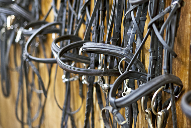 Vacances-passion - Cap Sireuil Village - Les Eyzies de Tayac - Dordogne