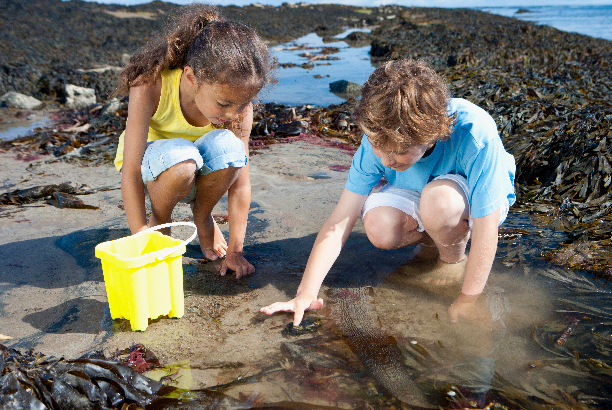 Vacances-passion - Centre de vacances Marceau - Batz-sur-Mer/Le Croisic - Loire-Atlantique