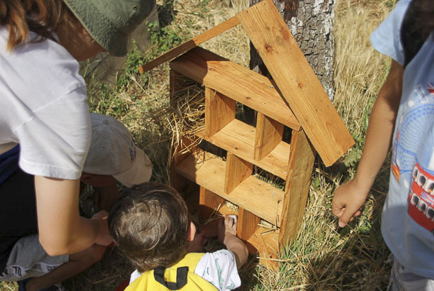 Vacances pour tous - colonies de vacances  - Villefranche de Rouergue - Les experts de la nature