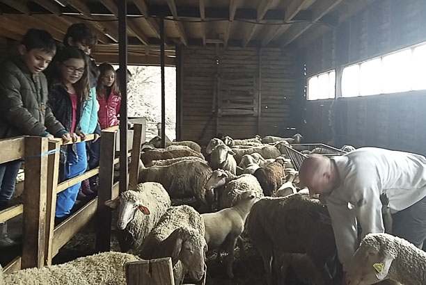 Vacances pour tous - colonies de vacances  - La Mongie-Barèges - Les petits bergers pyrénéens