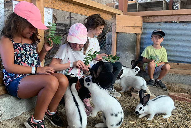Vacances pour tous - colonies de vacances  - Ceyzériat - La colo des animaux Vacances pour tous - colonies de vacances  - Ceyzériat - La colo des animaux
