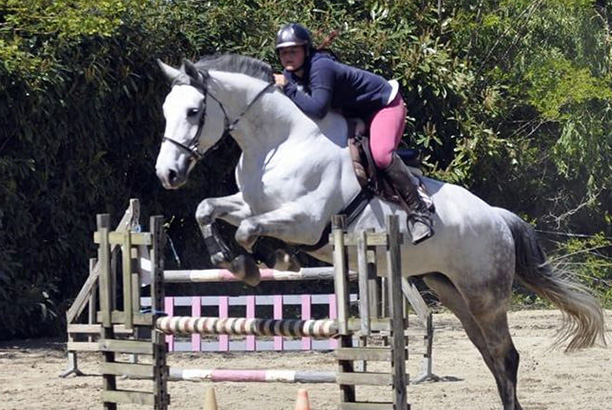 Vacances pour tous - colonies de vacances  - Ceyzériat - Stage intensif d'équitation Vacances pour tous - colonies de vacances  - Ceyzériat - Stage intensif d'équitation
