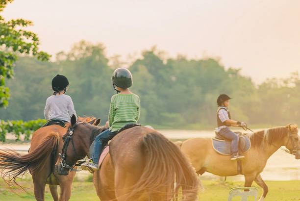Vacances pour tous - colonies de vacances  - Gouville-sur-Mer - Crinières au vent Vacances pour tous - colonies de vacances  - Gouville-sur-Mer - Crinières au vent