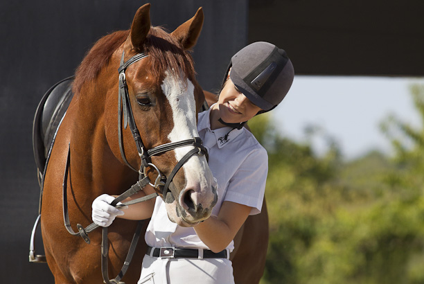 Vacances pour tous - colonies de vacances  - Chevillon - À cheval ! Stage progression Vacances pour tous - colonies de vacances  - Chevillon - À cheval ! Stage progression