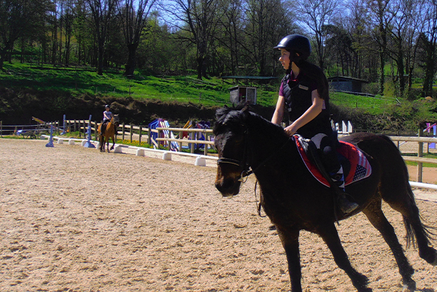 Vacances pour tous - colonies de vacances  - Feurs - Stage équestre intensif Vacances pour tous - colonies de vacances  - Feurs - Stage équestre intensif