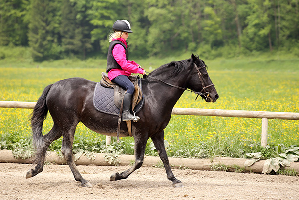 Vacances pour tous - colonies de vacances  - Feurs - Équitation loisir Vacances pour tous - colonies de vacances  - Feurs - Équitation loisir