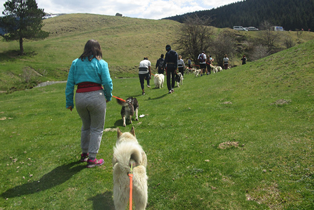 Vacances pour tous - colonies de vacances  - La Mongie-Barèges - Les petits bergers pyrénéens Vacances pour tous - colonies de vacances  - La Mongie-Barèges - Les petits bergers pyrénéens