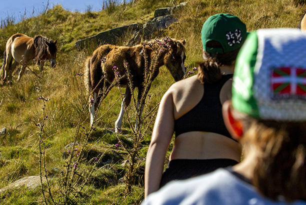 Vacances pour tous - colonies de vacances  - Saint-Jean-de-Luz - Photo nature expérience Vacances pour tous - colonies de vacances  - Saint-Jean-de-Luz - Photo nature expérience