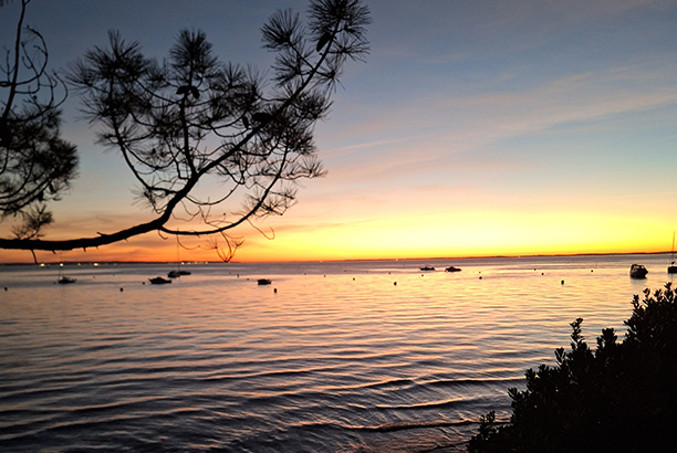 Vacances pour tous - colonies de vacances  - Taussat - Cocktail sensations Vacances pour tous - colonies de vacances  - Taussat - Cocktail sensations